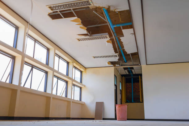 Best 24/7 water damage repair  in Sturgeon Bay, WI