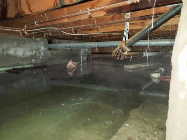Best 24-hour water damage restoration  in Sturgeon Bay, WI