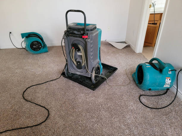 Best Water damage restoration near me  in Sturgeon Bay, WI