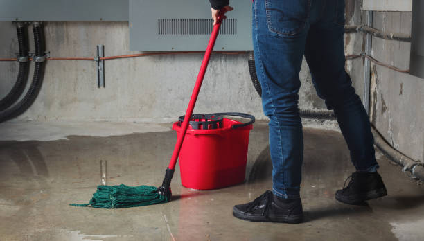 Best Residential water damage restoration  in Sturgeon Bay, WI