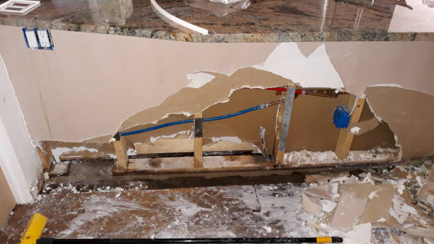 Best Mold removal after water damage  in Sturgeon Bay, WI
