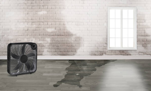 Best Local water damage restoration  in Sturgeon Bay, WI