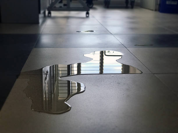 Best Water damage cleanup near me  in Sturgeon Bay, WI