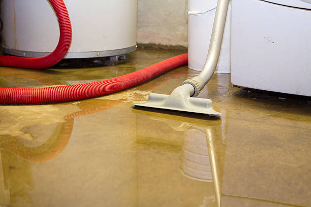 Best Flood restoration services  in Sturgeon Bay, WI