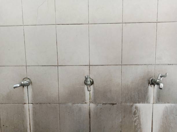 Best Flooded house restoration  in Sturgeon Bay, WI