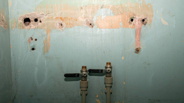 Best Fire Damage Restoration  in Sturgeon Bay, WI