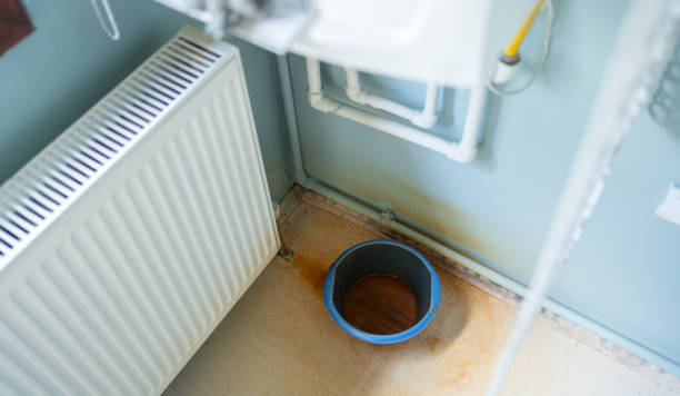 Best Carpet water damage restoration  in Sturgeon Bay, WI